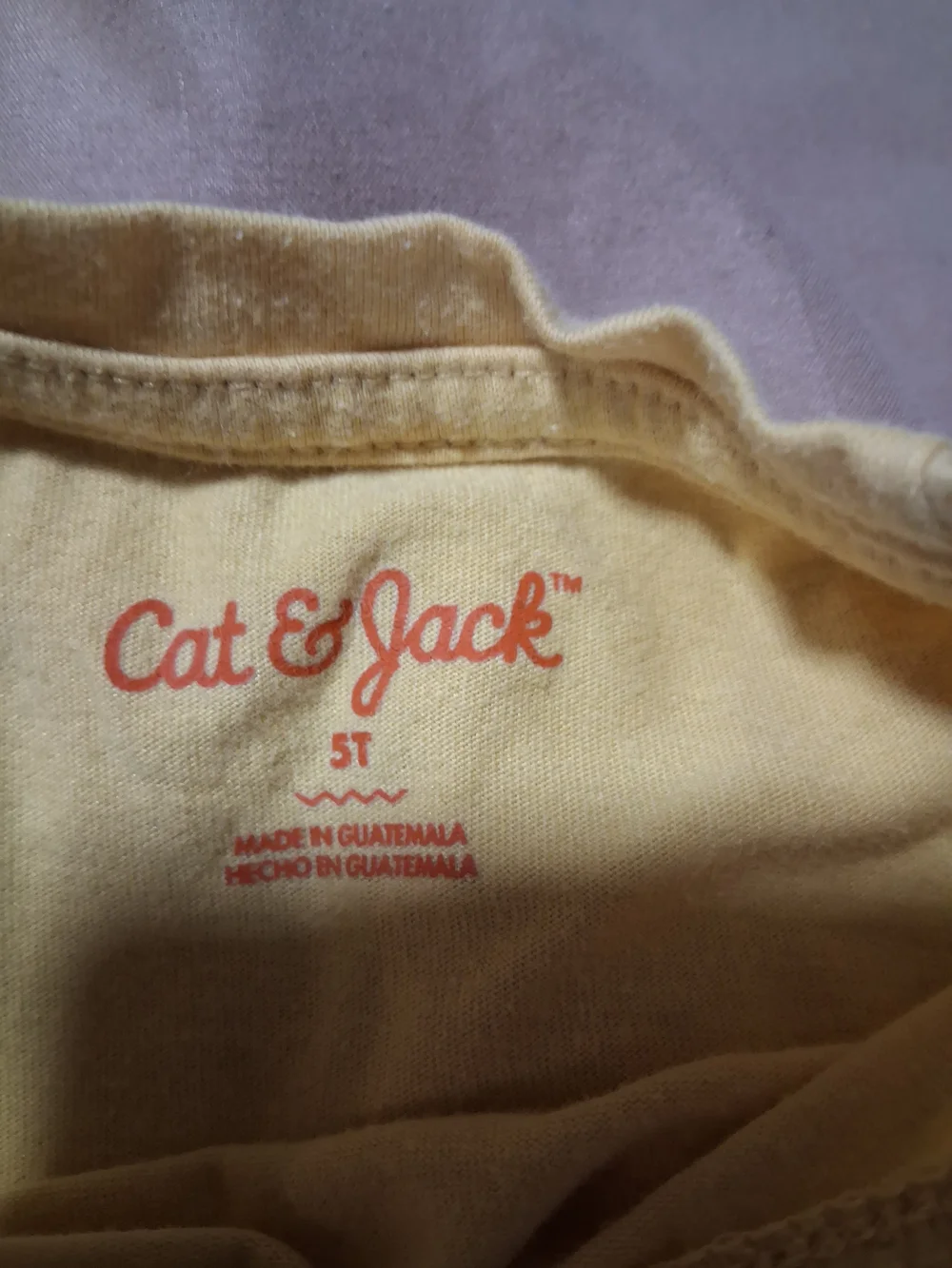 The Childrens Place Cat & Jack Boys Kids Short Sleeve Tee Shirt Graphic Tops 5T